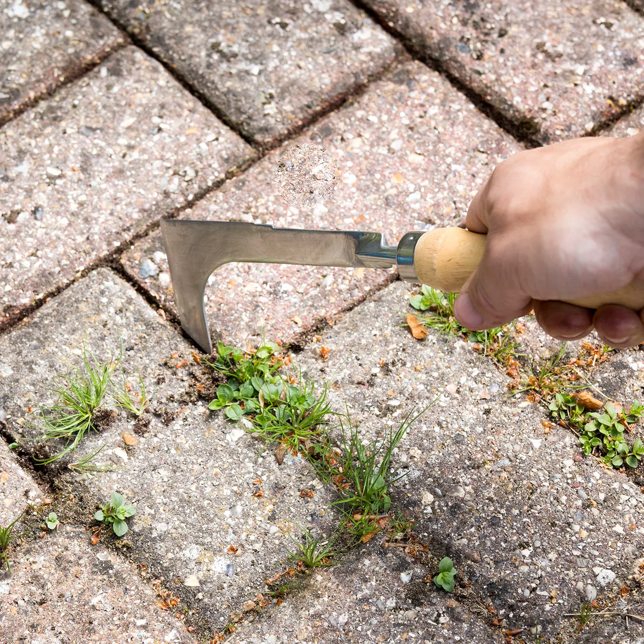 Block Paving Knife - RHS Endorsed